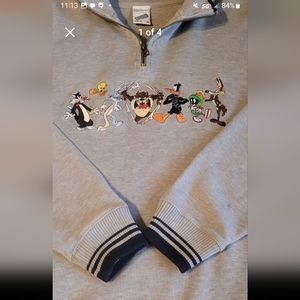 (#15) Warner BROS STUDIO STORE sweater